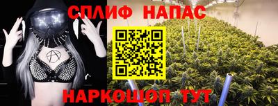 индика Балашиха